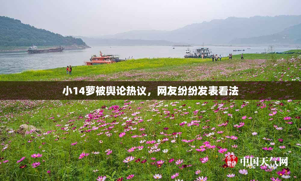 小14萝被舆论热议，网友纷纷发表看法