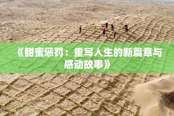 《甜蜜惩罚：重写人生的新篇章与感动故事》