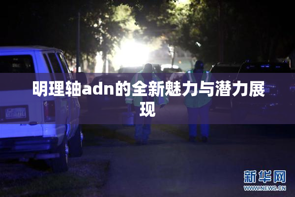 明理轴adn的全新魅力与潜力展现