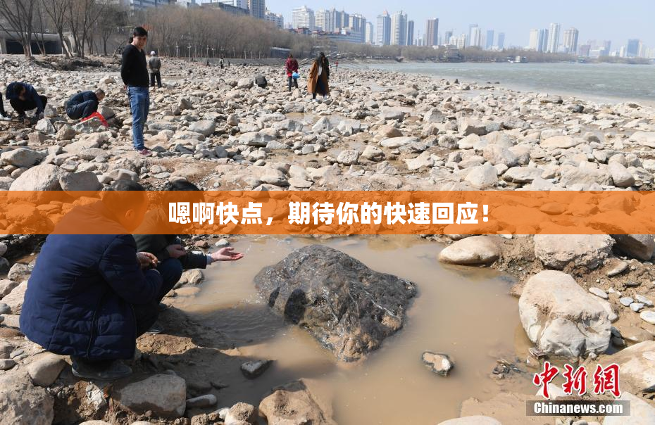 嗯啊快点，期待你的快速回应！