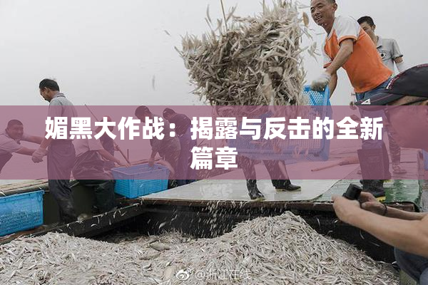 媚黑大作战：揭露与反击的全新篇章