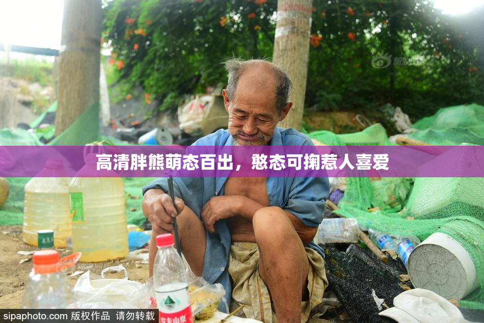 高清胖熊萌态百出，憨态可掬惹人喜爱