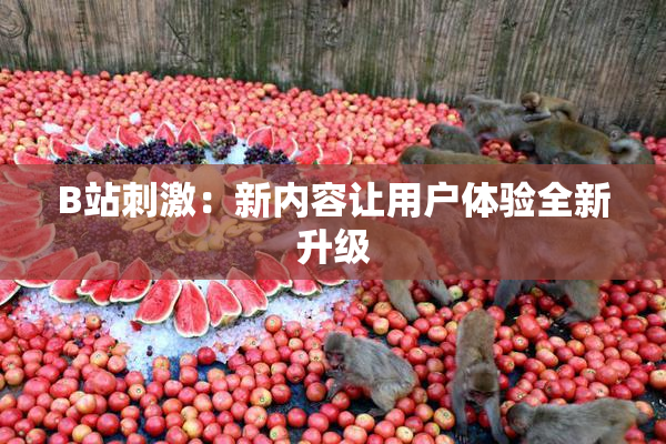 B站刺激：新内容让用户体验全新升级