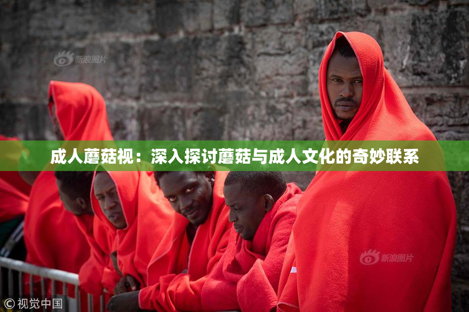 成人蘑菇视：深入探讨蘑菇与成人文化的奇妙联系