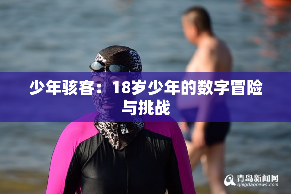 少年骇客：18岁少年的数字冒险与挑战