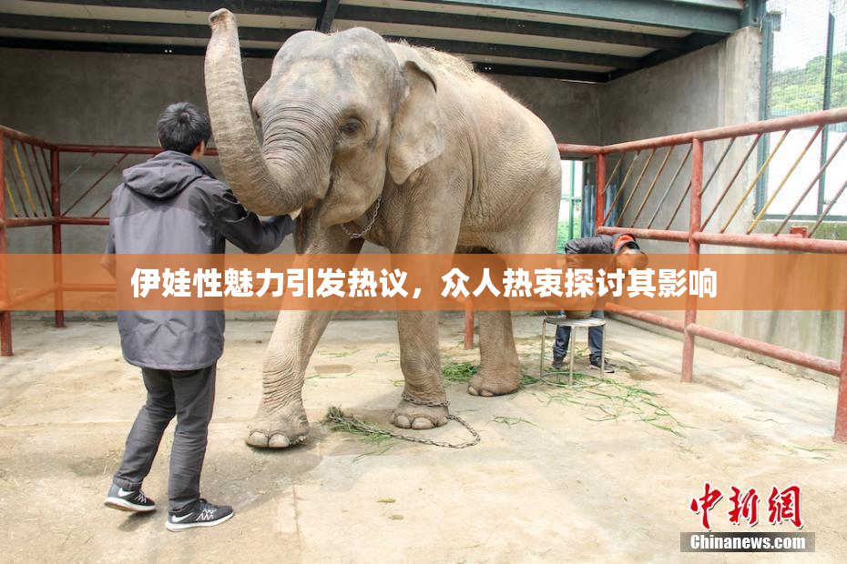 伊娃性魅力引发热议，众人热衷探讨其影响