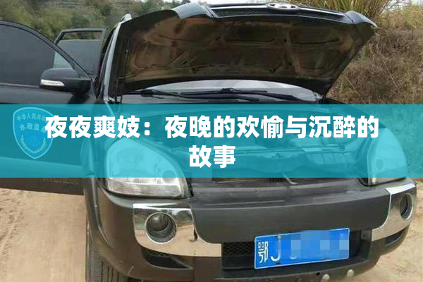 夜夜爽妓：夜晚的欢愉与沉醉的故事