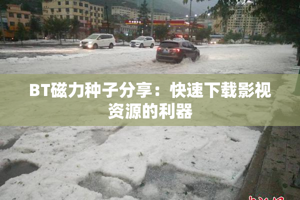 BT磁力种子分享：快速下载影视资源的利器