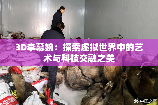 3D李慕婉：探索虚拟世界中的艺术与科技交融之美