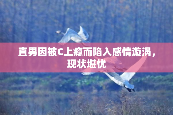 直男因被C上瘾而陷入感情漩涡，现状堪忧