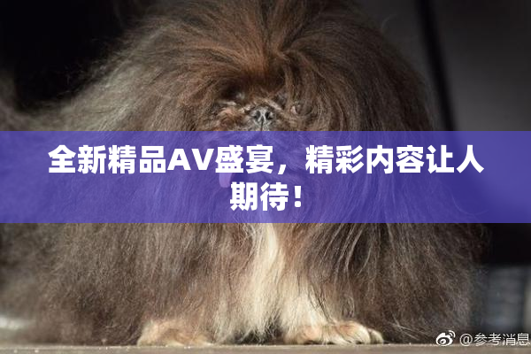 全新精品AV盛宴，精彩内容让人期待！