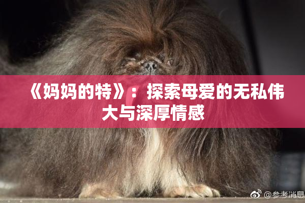 《妈妈的特》：探索母爱的无私伟大与深厚情感