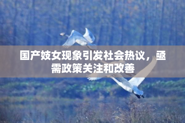 国产妓女现象引发社会热议，亟需政策关注和改善