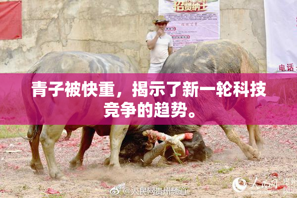 青子被快重，揭示了新一轮科技竞争的趋势。
