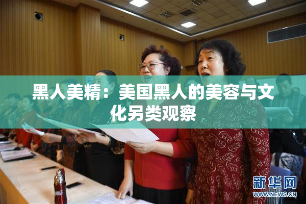 黑人美精：美国黑人的美容与文化另类观察