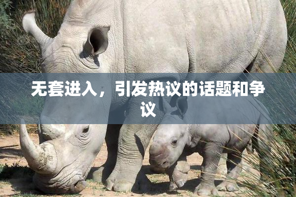 无套进入，引发热议的话题和争议