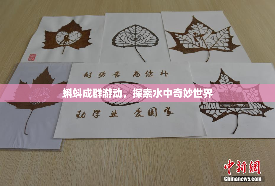 蝌蚪成群游动，探索水中奇妙世界