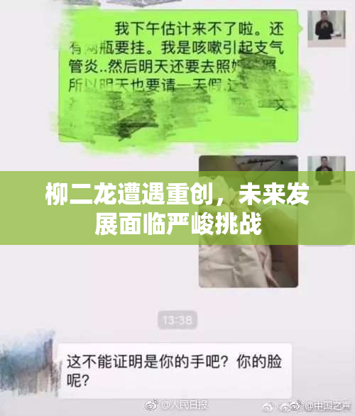 柳二龙遭遇重创，未来发展面临严峻挑战