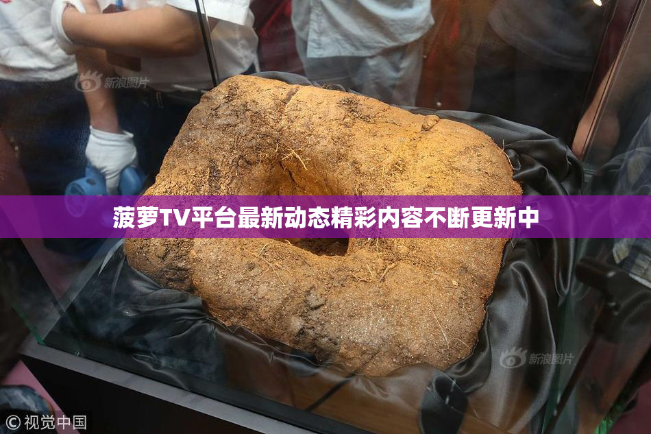 菠萝TV平台最新动态精彩内容不断更新中