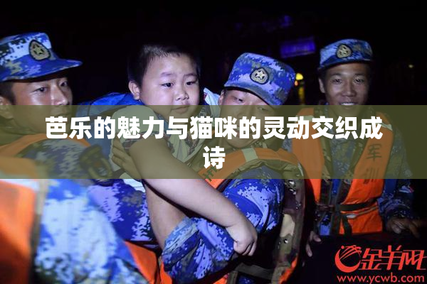 芭乐的魅力与猫咪的灵动交织成诗