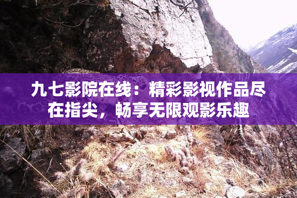 九七影院在线：精彩影视作品尽在指尖，畅享无限观影乐趣