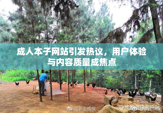 成人本子网站引发热议，用户体验与内容质量成焦点
