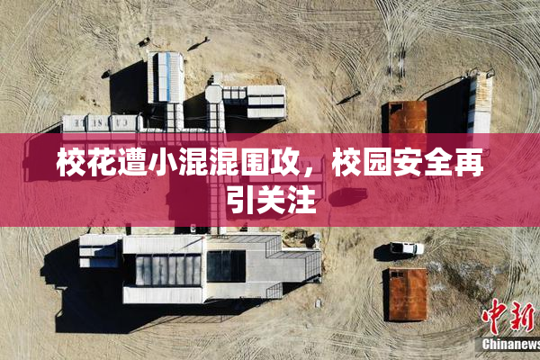 校花遭小混混围攻，校园安全再引关注