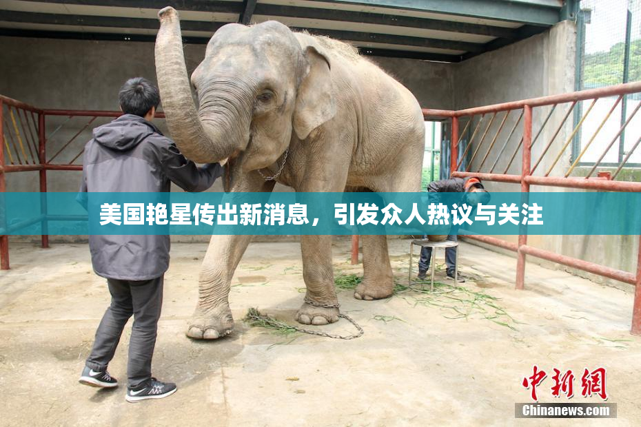 美国艳星传出新消息，引发众人热议与关注
