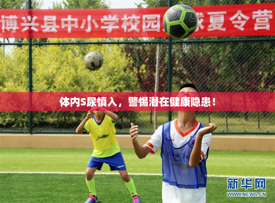 体内S尿慎入，警惕潜在健康隐患！