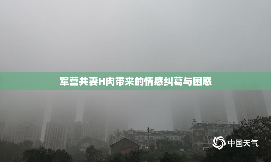 军营共妻H肉带来的情感纠葛与困惑