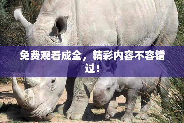 免费观看成全，精彩内容不容错过！