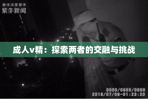 成人v精：探索两者的交融与挑战