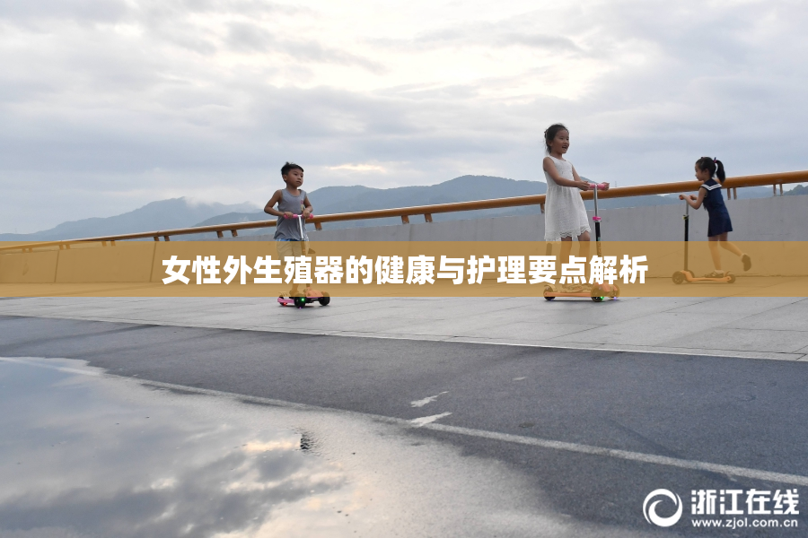 女性外生殖器的健康与护理要点解析