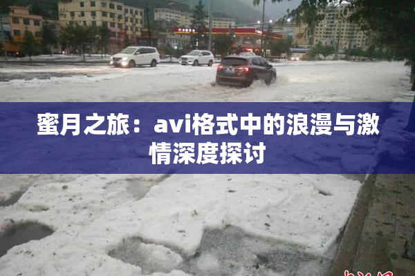 蜜月之旅：avi格式中的浪漫与激情深度探讨