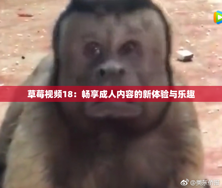 草莓视频18：畅享成人内容的新体验与乐趣