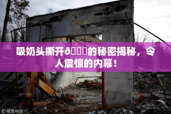 吸奶头撕开👙的秘密揭秘，令人震惊的内幕！