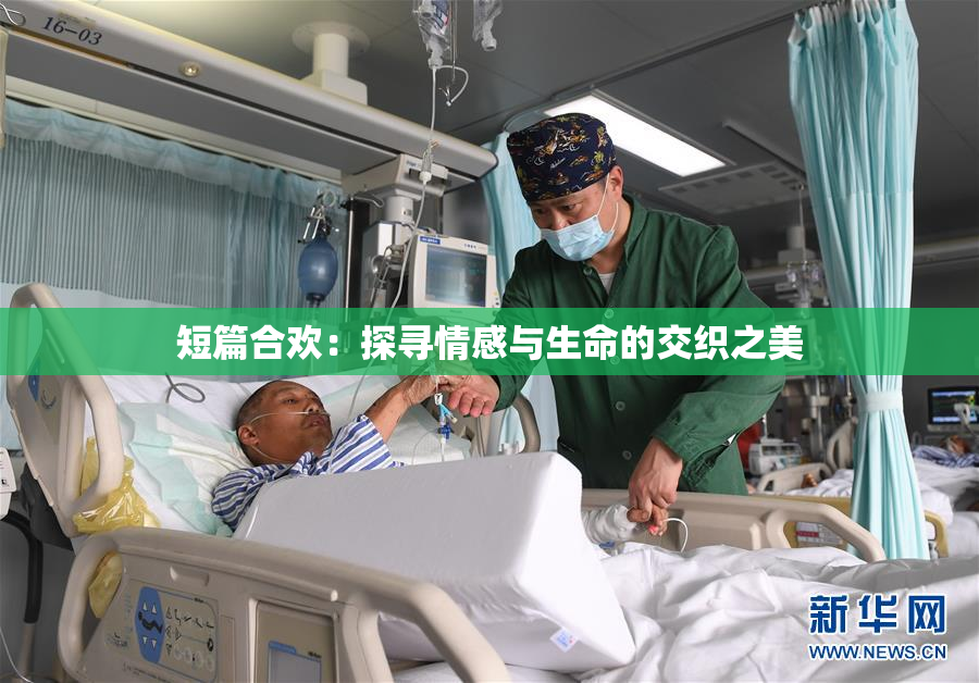 短篇合欢：探寻情感与生命的交织之美