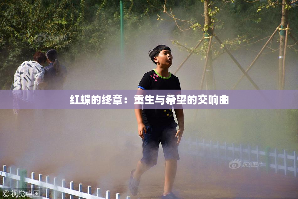 红蝶的终章：重生与希望的交响曲