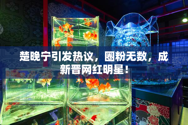 楚晚宁引发热议，圈粉无数，成新晋网红明星！
