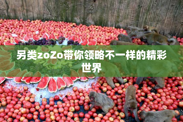另类zoZo带你领略不一样的精彩世界