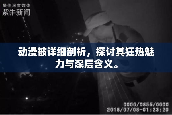 动漫被详细剖析，探讨其狂热魅力与深层含义。