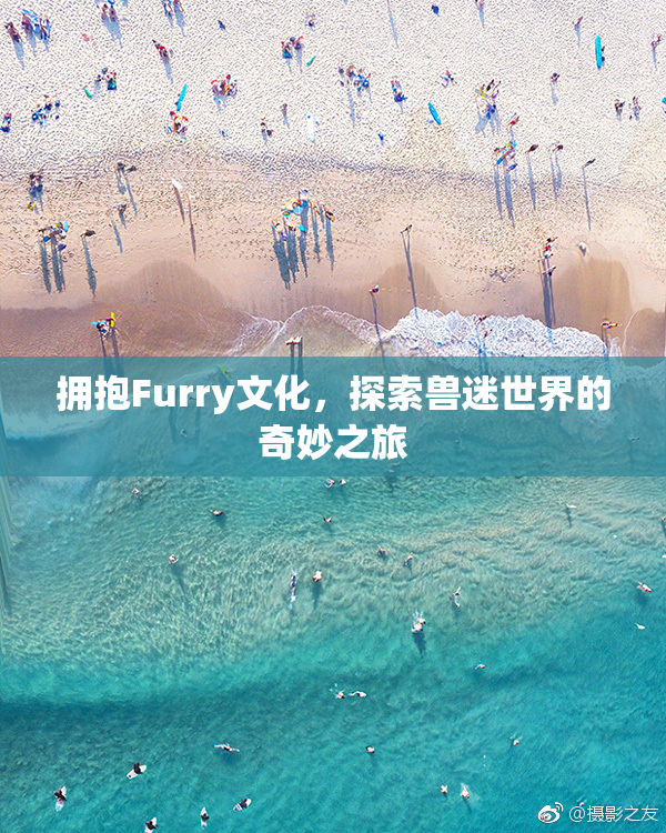 拥抱Furry文化，探索兽迷世界的奇妙之旅
