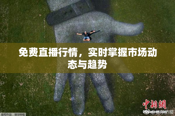 免费直播行情，实时掌握市场动态与趋势