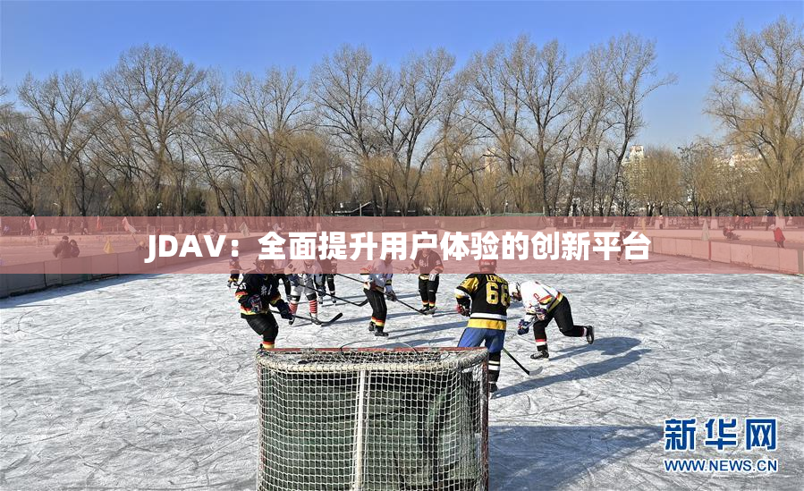 JDAV：全面提升用户体验的创新平台