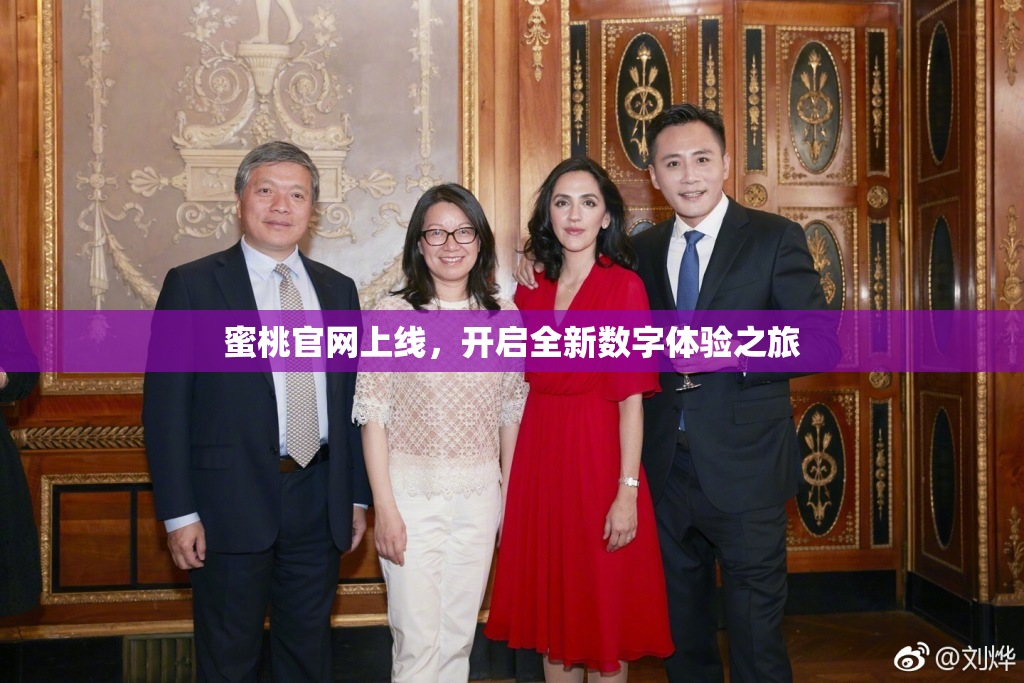 蜜桃官网上线，开启全新数字体验之旅
