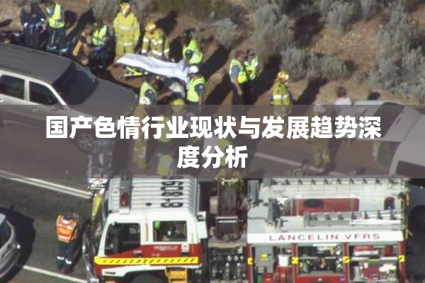 国产色情行业现状与发展趋势深度分析