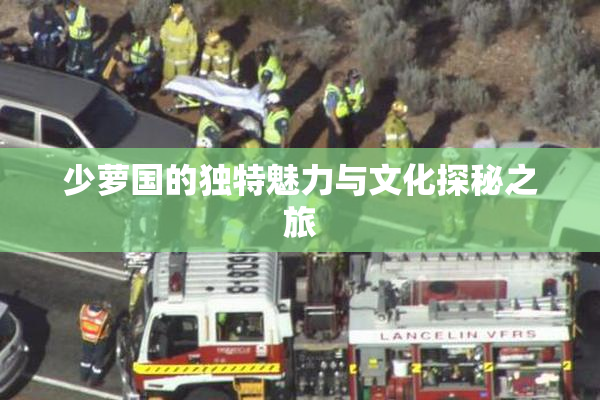 少萝国的独特魅力与文化探秘之旅