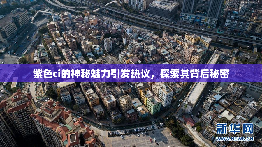 紫色ci的神秘魅力引发热议，探索其背后秘密