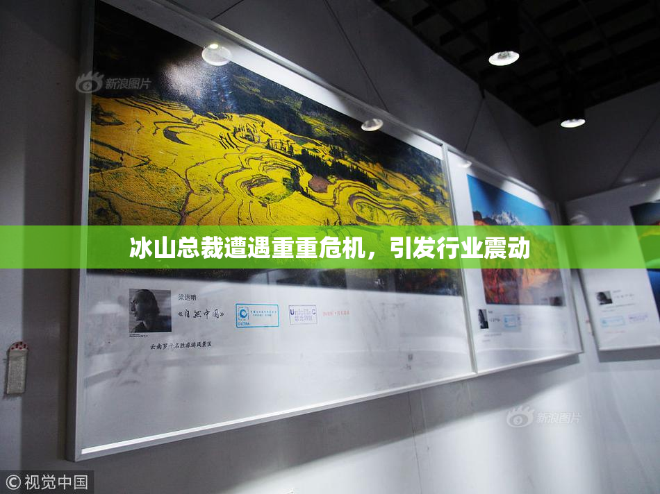 冰山总裁遭遇重重危机，引发行业震动