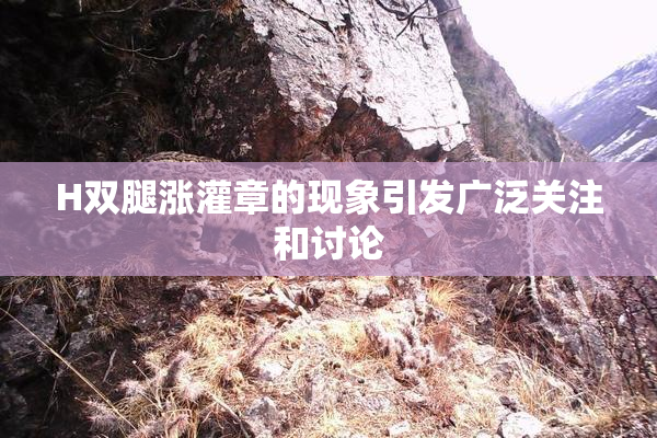 H双腿涨灌章的现象引发广泛关注和讨论